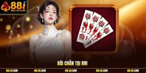 Bài chắn