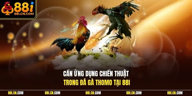 Cần ứng dụng chiến thuật trong đá gà Thomo tại 88I