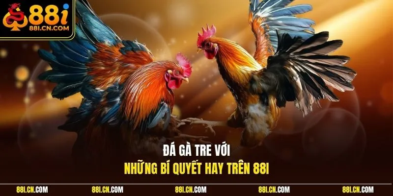 Đá gà tre với những bí quyết hay trên 88I